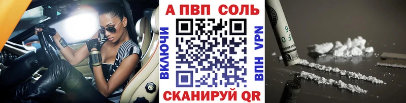 дарнет шоп  Нелидово  Альфа ПВП СК КРИС 