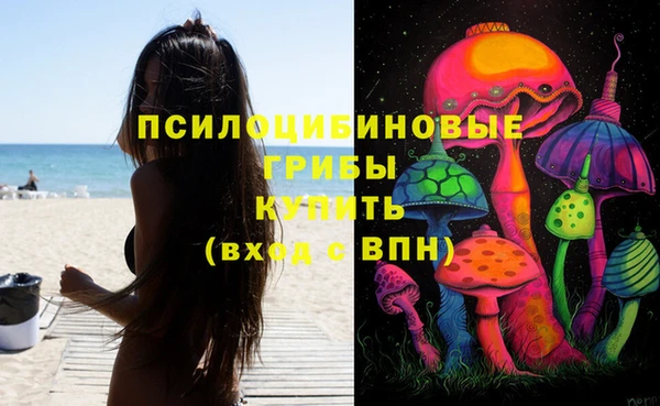 jwh Новокубанск