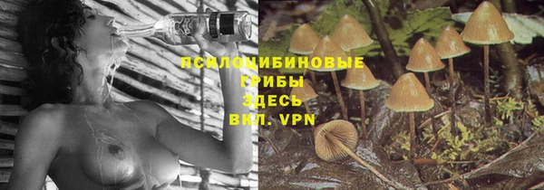 jwh Новокубанск