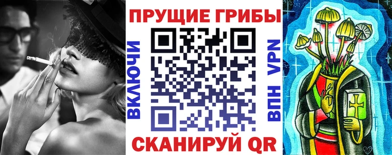 мега как зайти  Нелидово  Псилоцибиновые грибы прущие грибы 